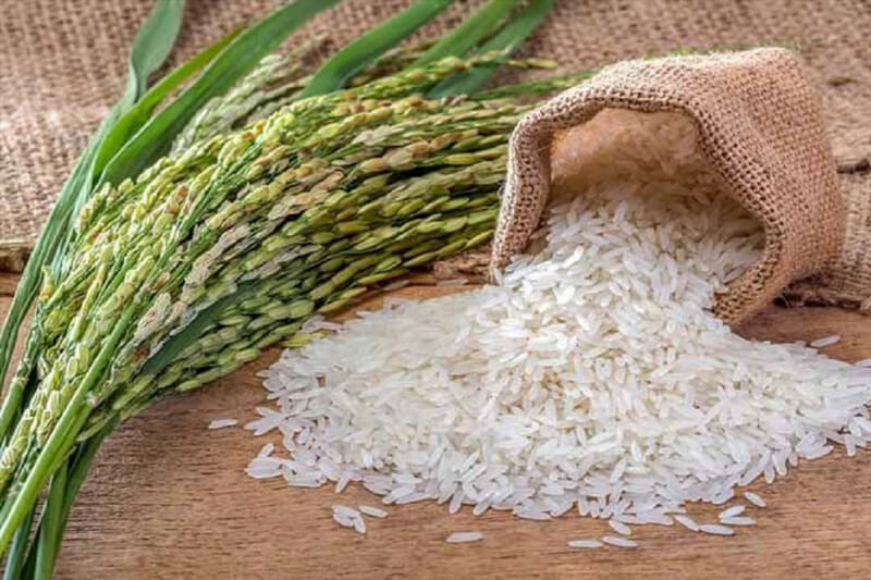 واردات یا تعطیلی بخش خصوصی صنعت واردات برنج؟ مسئله این است!